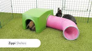 Zippi Shelters New Exciting Run Accessory For Rabbits And Guinea Pigs Omlet Pet Products Youtube