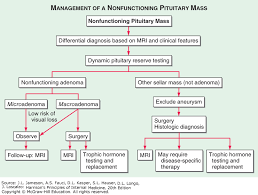 Pituitary Tumor Syndromes Harrisons Principles Of