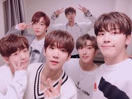 Snuper Photo Wall Collage Beautiful Moments Photo