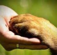We did not find results for: Vet To Pet Mobile Service Opening Hours 1283 Main St Smithers Bc