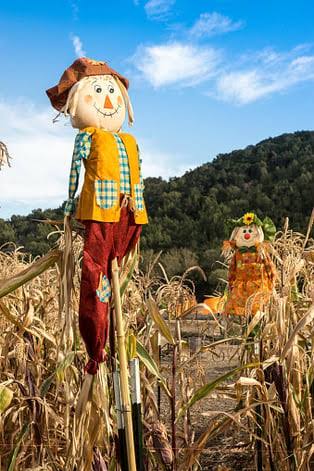 Making Learning Fun: Preschoolers and Scarecrows