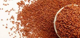 فوائد حب الرشاد فوائد حب الرشاد مع الحليب فوائد حب الرشاد للتخسيس Food Animals Dog Food Recipes Places To Visit