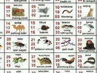 Unduh 93 Gambar Hewan Fajar Pakong 88 Terbaru Gratis
