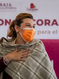 Se desata polémica por certificado de vacunación en BC: los negocios  decidirán si lo solicitan o no