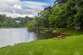Finding cheap hotels in são francisco de paula. Trees Around Sao Bernardo Lake Sao Francisco De Paula Rio Grande Do Sul Brazil Stock Photo Picture And Royalty Free Image Image 74051581