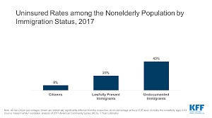 health coverage and care of undocumented immigrants the