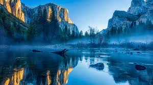 These are the best anime backgrounds for me. El Capitan Yosemite National Park California United States Wqhd 1440p Wallpaper Pixelz