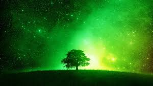 We have a massive amount of desktop and mobile if you're looking for the best neon green wallpapers then wallpapertag is the place to be. Desktop Wallpaper Green Neon 2021 Cute Wallpapers