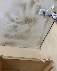 Servpro Of South Palm Beach 2880 Nw 2nd Ave 3 Boca Raton Fl Water Damage Restoration Residential Mapquest