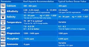 How To Set Up A Dosing Pump Marine Depot Blog