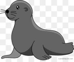 Tanker singa laut i is currently located at unknown area at position 0° 0' 0 n, 0° 0' 0 e as reported by marinetraffic terrestrial automatic identification system on (****). Gambar Mewarnai Singa Laut Gambar Mewarnai Hd