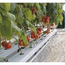 Gt80 Tsw Nft System Farmtek Hydroponic Supplies Hydroponics Hydroponic Farming