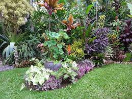 P1060834 Tropical Landscaping Tropical Garden Design Tropical Garden
