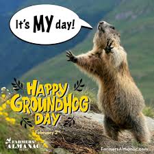 We all have those days when things don't go according to plan or life throws in some unsuspecting twists and turns. Groundhog Day 2022 Forecast Facts And Folklore Farmers Almanac