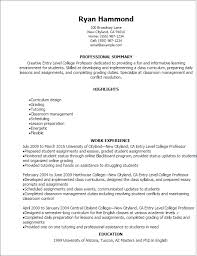This format combines elements of a chronological resume and functional. 1 Entry Level College Professor Resume Templates Try Them Now Myperfectresume