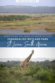 7 Adventurous Things To Do In St Lucia South Africa Sol Salute South Africa Travel Visit Africa Africa