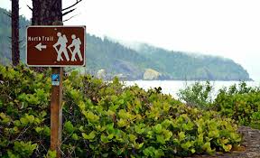 Summer is almost here and oregon's gorgeous beaches are calling. 12 Top Rated Campgrounds On The Oregon Coast Planetware