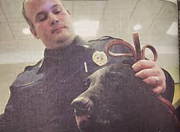 Image result for Chrome Yellow 1956 Twin Cities Milk Producers Association