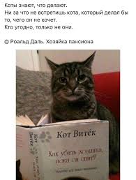pin ot polzovatelya helga seb na doske yumor veselye mysli smeshno yumoristicheskie citaty