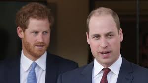 Vor allem für harry wurde dyer zur bezugsperson. William Und Harry Das Letzte Telefonat Mit Diana Werden Sie Immer Bereuen Welt