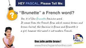 Hey Pascal Please Tell Me Is Brunette A French Word Youtube