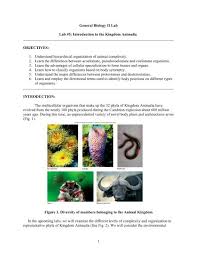 Maybe you would like to learn more about one of these? Lab 7 Introduction To The Kingdom Animalia