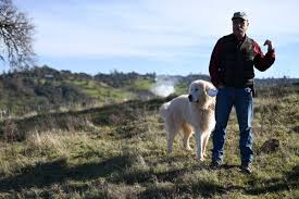 New Podcast Episode: Livestock Guardian Dogs