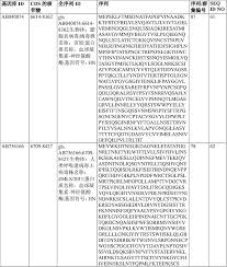 Bokep Indo angels ready to perform- unforgettable encounters await!