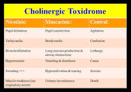 Image result for Cholinergic Toxicity