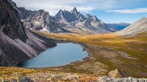 Maybe you would like to learn more about one of these? Tombstone Territorial Park Yukon Territory Grizzly Lakes Hike Mountain Photography Tombstone Scenery