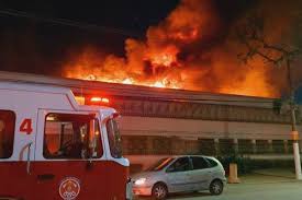 Check spelling or type a new query. Famosos Lamentam Incendio Na Cinemateca Perdendo Nossa Historia