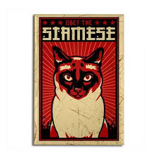 Siamese Magnet Rectangle Magnet Siamese Cat Dictator Propaganda Magnet By Obey The Pure Breed Coupons Cafepress In 2021 Siamese Cats Blue Point Siamese Cats Siamese