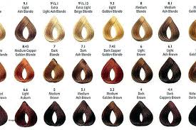 loreal professional hair color chart inoa best picture of