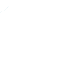 Image result for Acanthus mayaccanus