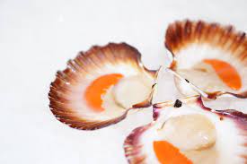 Scallop Meat Roe On Costis Fresh Seafood