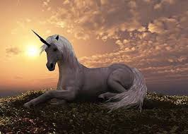 Unicorn Mythical Creatures Unicorn Pictures Unicorn Photos