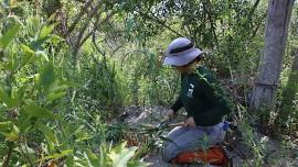 Keep It Wild – Aliso and Wood Canyons