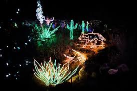 You Will Love This Dreamy Stroll Through The Largest Walk Through Light Show In New Mexico Christmas Lights Christmas Light Displays Best Christmas Light Displays