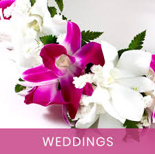 Aloha Hawaiian Flowers Only the best hd background pictures. aloha hawaiian flowers