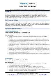 jr business analyst resume samples