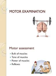 Image result for Motor Exam