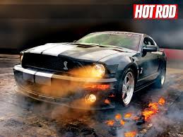 Pin On Mustangs