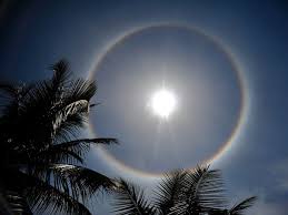 The sun dog is a member of the family of halos caused by the refraction of sunlight by ice crystals in the atmosphere. Newsbust In Wp Content Uploads 2021 05 Sun22 16