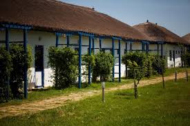 *confort, relaxare in mijlocul naturii*. Sat De Vacanta Gura Portitei Gura Portitei Delta Dunarii Romania Oferta Litoral 2021 Ofertele Early Booking Si Inscrieri Timpurii Litoral Romania 2021 Plaja Ro