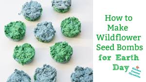 So, seed bomb 101 for those who aren't as obsessed as i am: How To Make Seed Bombs For Earth Day