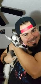 🌚KING ITACHI BABY It's nice 🐱 -®- 482.3Q$ 69 News Rank Magma MYTHIC  Reindeer $467.1B/s $151.10 Мемя Base 2 Total Value $784.6Q $18.8Q $18  MYTHIC Reindeer $233.5B/ $151.1Q Rebirth More 21m *