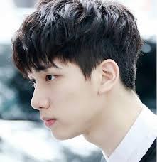 24 Populer Korean Short Hairstyle Male Color Korean Short Hair Short Hair Styles Korean Men Hairstyle