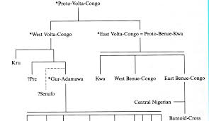 igbo language roots and pre history a mighty tree