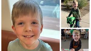 Fundraiser by Tishana Brown : Help Us Support Brave William