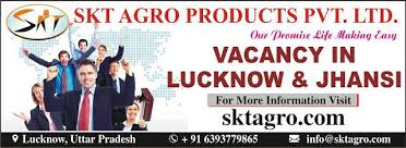 Skt Job Apply For Hardware And Networking Engineer Jobs Marketing Jobs Executive Jobs Hr Jobs